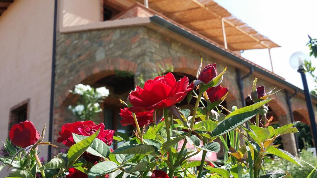 Agriturismo La Nocciolina Venturina Terme Luaran gambar