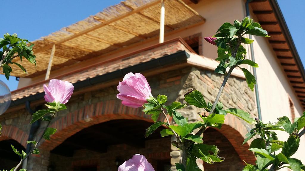 Agriturismo La Nocciolina Venturina Terme Luaran gambar