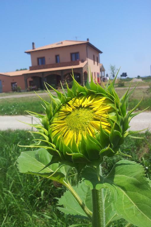 Agriturismo La Nocciolina Venturina Terme Luaran gambar