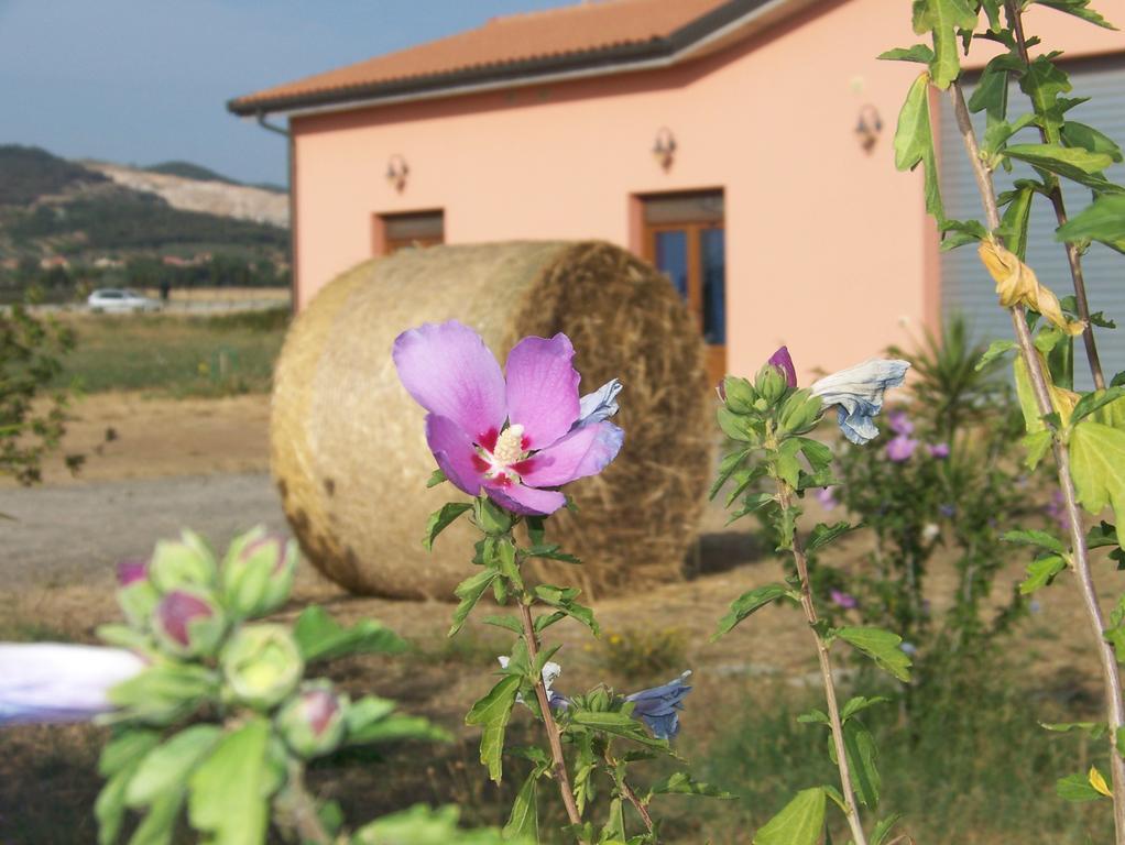 Agriturismo La Nocciolina Venturina Terme Luaran gambar