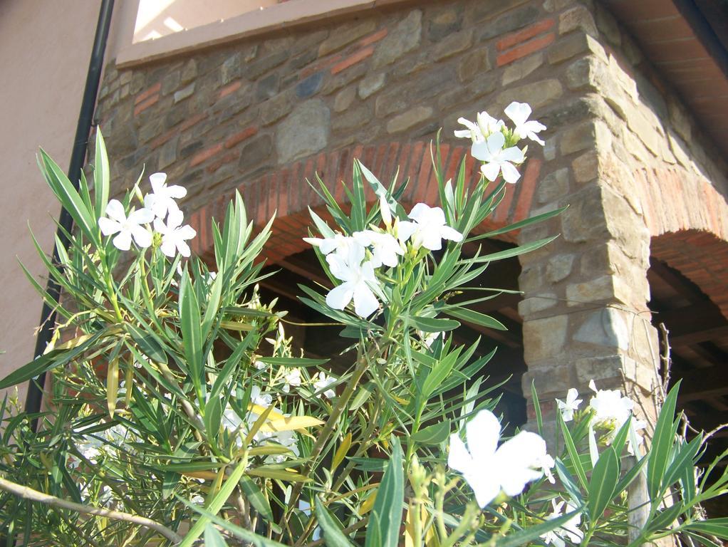 Agriturismo La Nocciolina Venturina Terme Luaran gambar