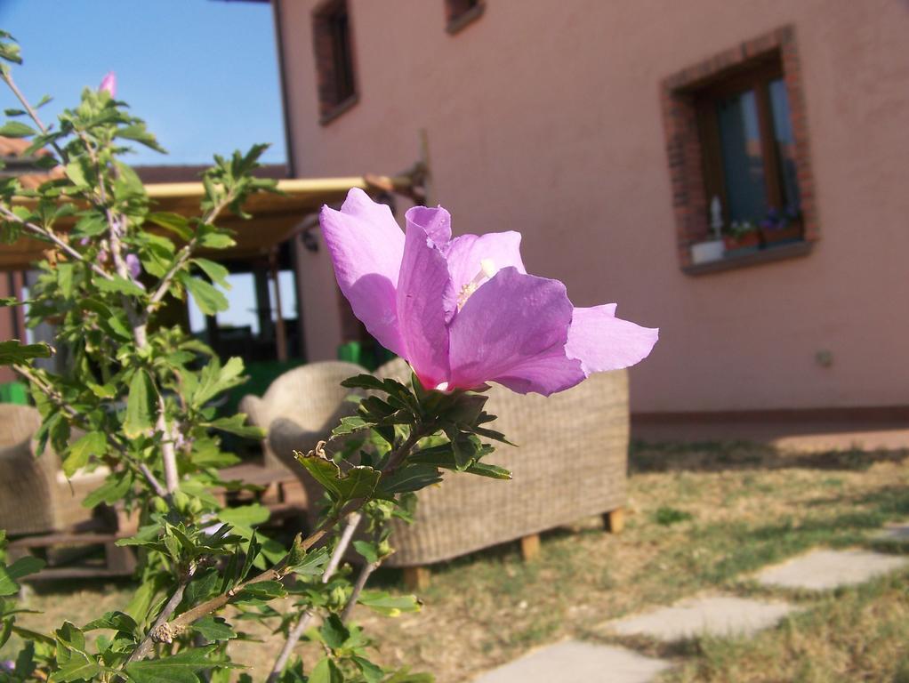 Agriturismo La Nocciolina Venturina Terme Luaran gambar