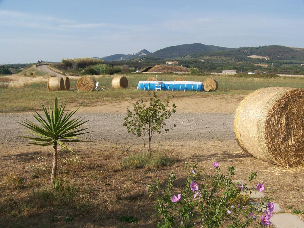 Agriturismo La Nocciolina Venturina Terme Luaran gambar
