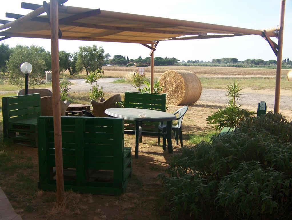 Agriturismo La Nocciolina Venturina Terme Luaran gambar